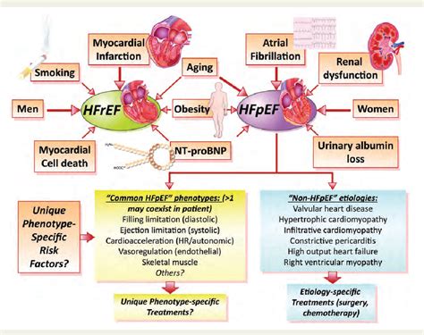 preserved vs reduced ejection fraction